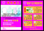 瑞倪维儿宣传彩页