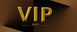 VIP 金字