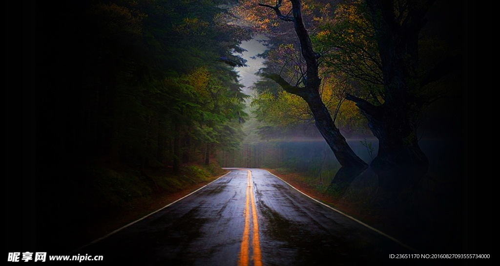 黑暗道路