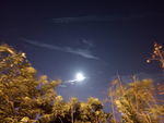 夜月