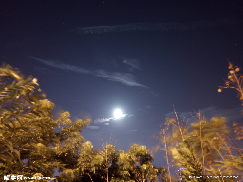 夜月