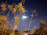 柳州夜景