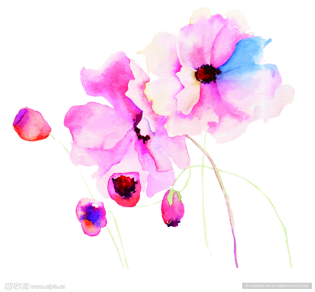 水彩花