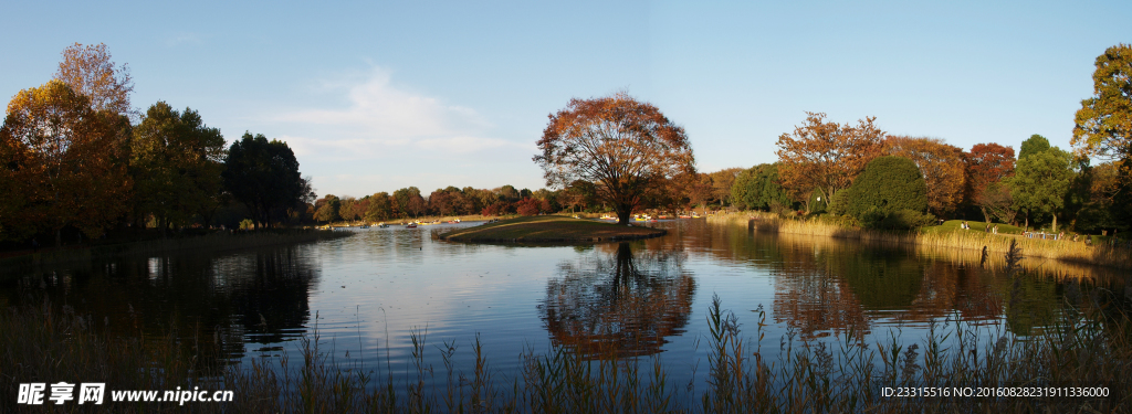 公园全景