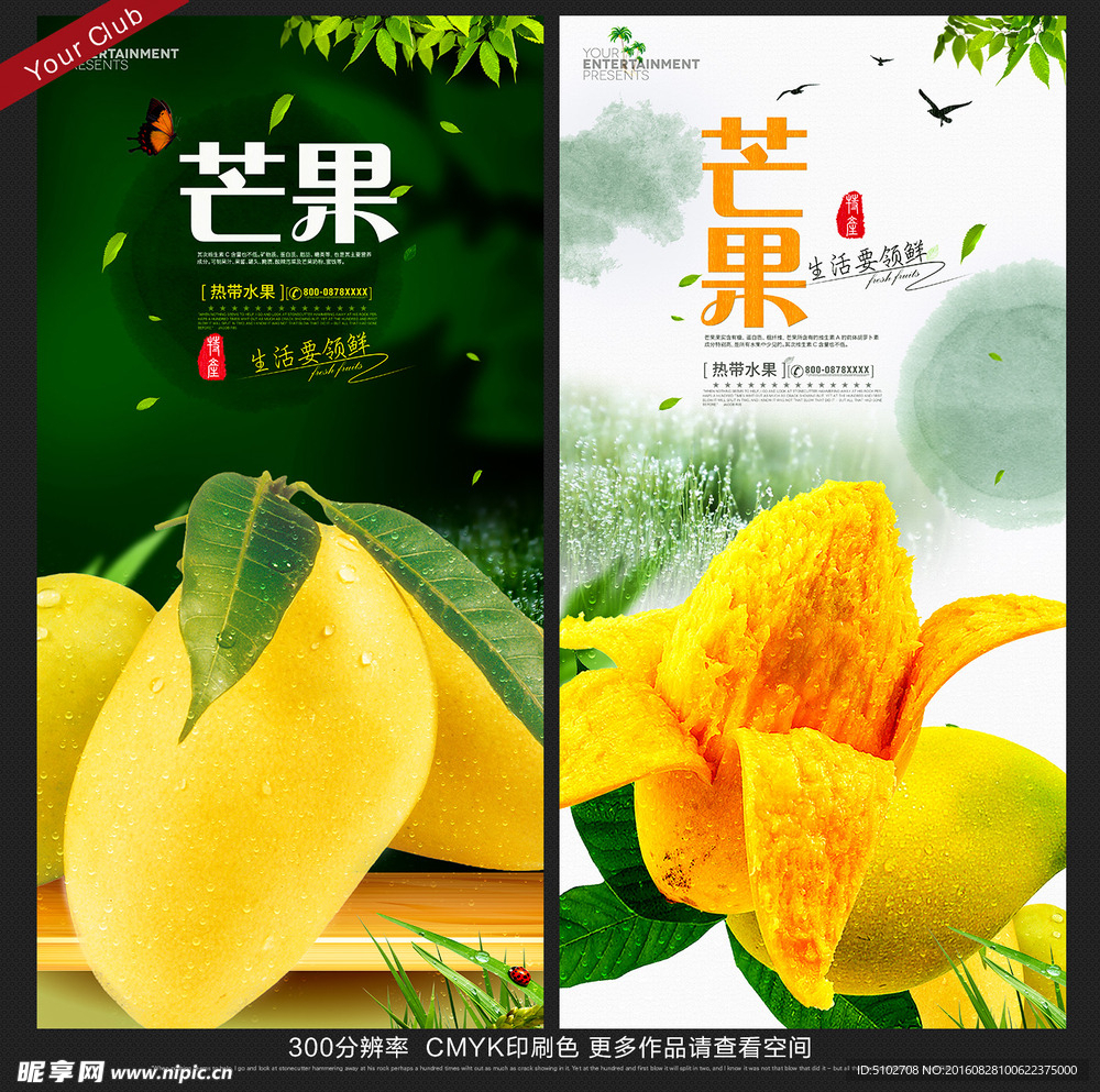 芒果