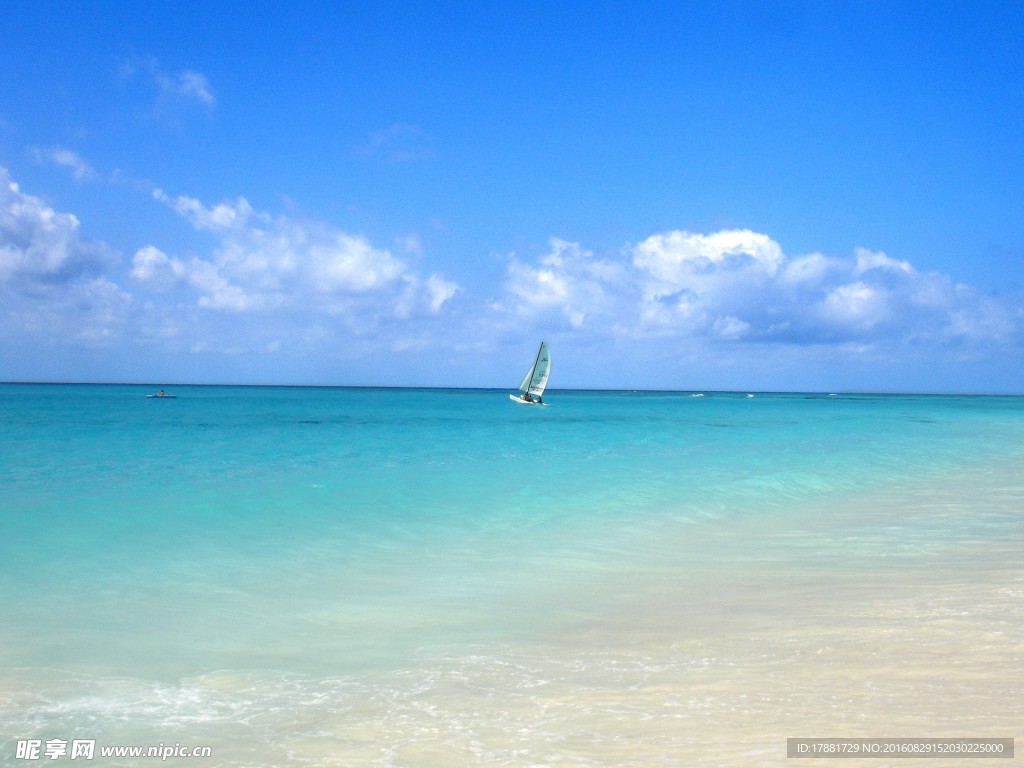 海洋 大海