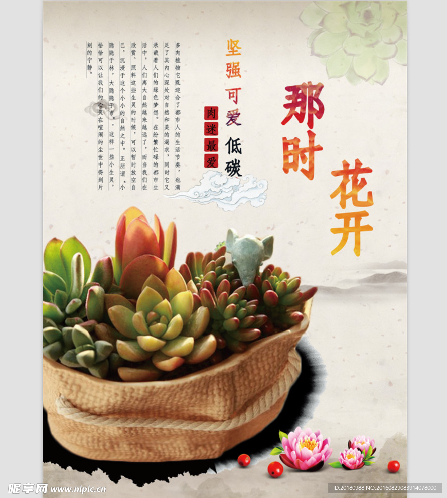 多肉植物海报