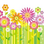 时尚花纹