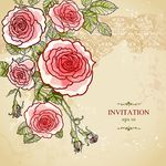 时尚花纹