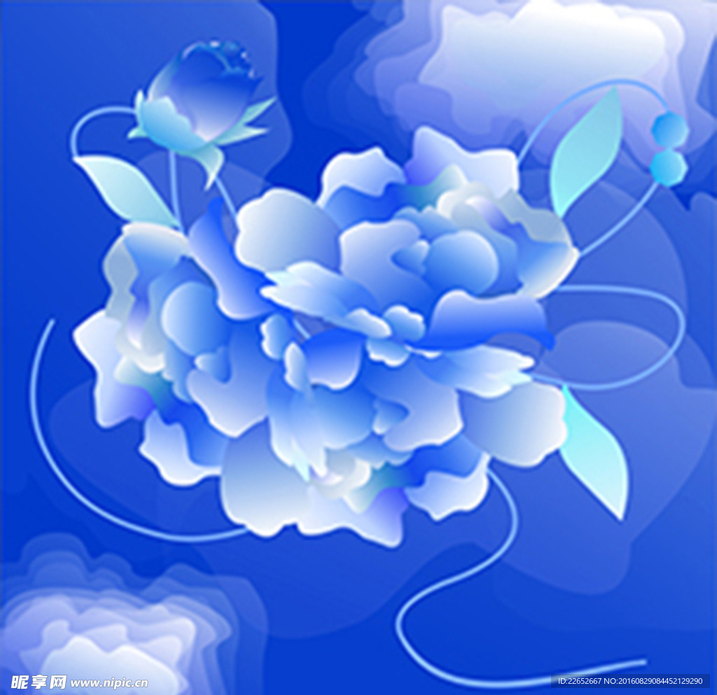 蓝色背景花之殇