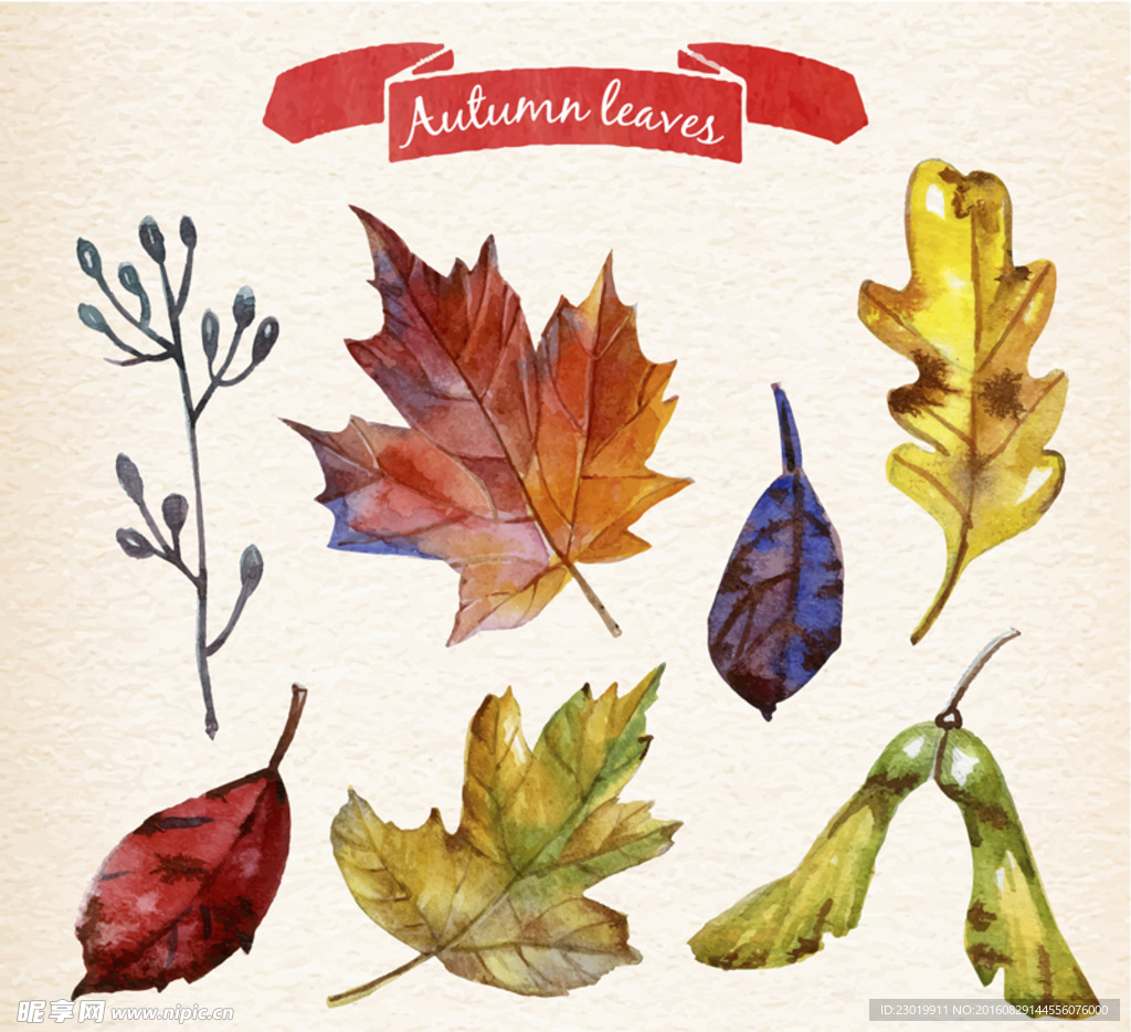 彩绘秋天树叶设计