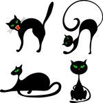 黑猫