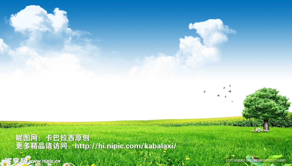 绿色 环保  健康 背景  版
