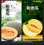 哈密瓜
