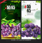 葡萄