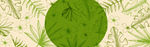 绿色清新淘宝banner