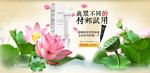淡雅护肤广告