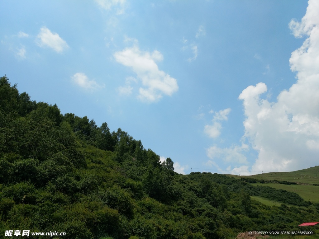 高山白云