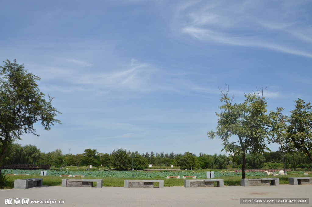 圆明园风景