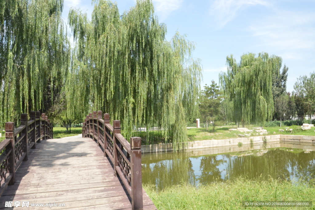 湖水风景