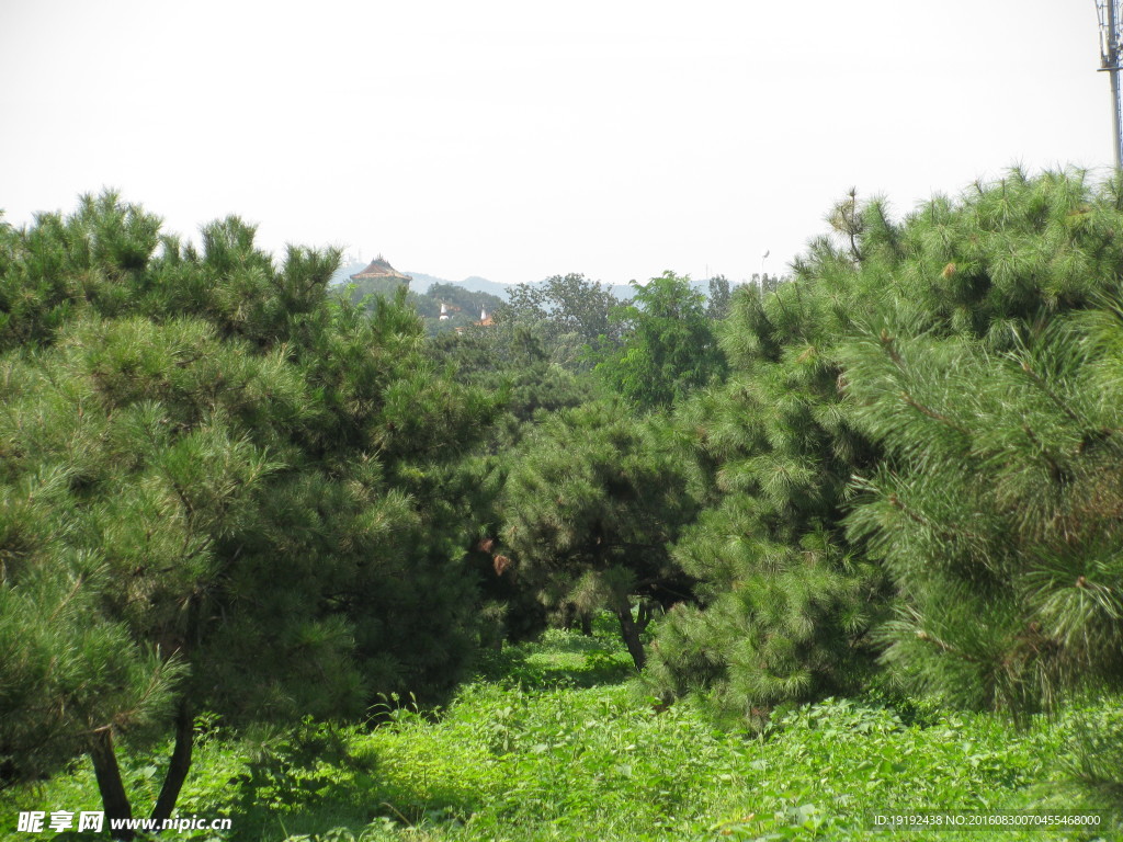 圆明园风景