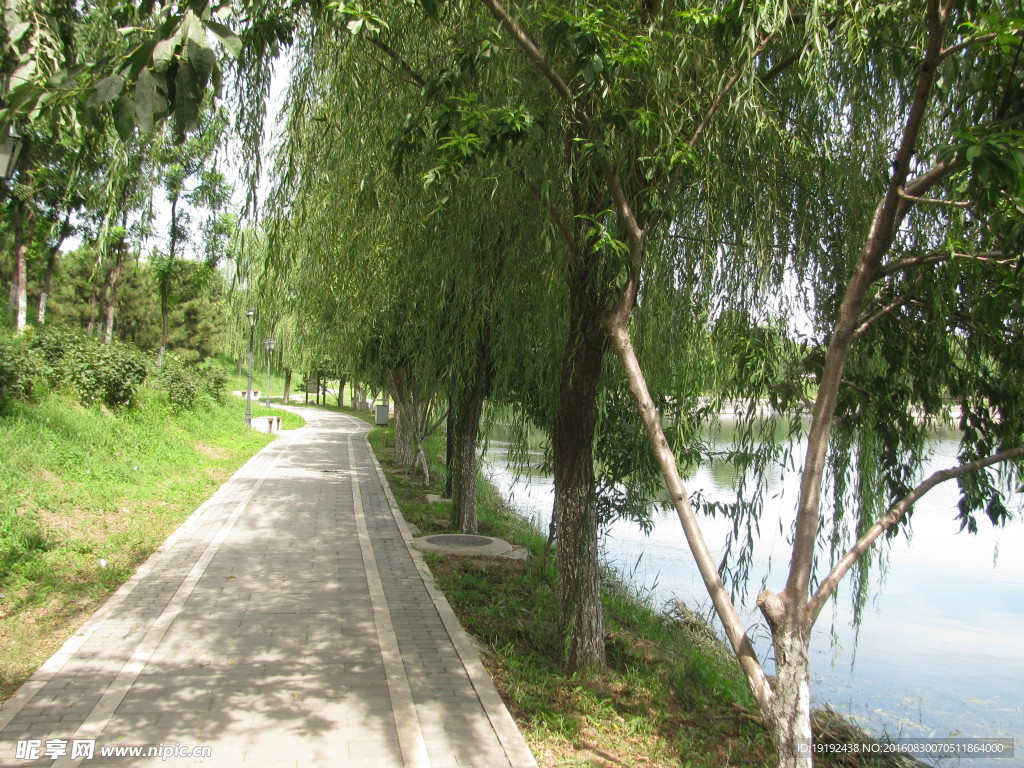 圆明园风景