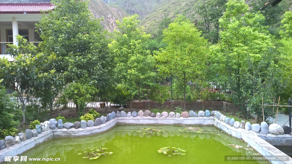 鱼池