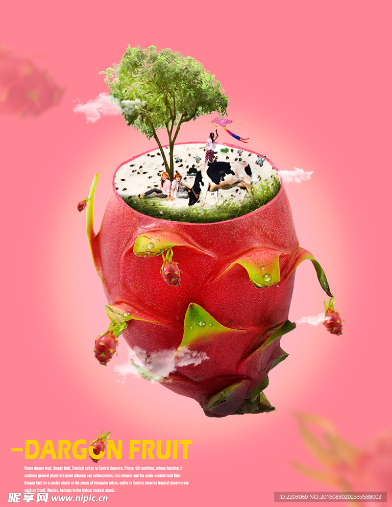 火龙果创意