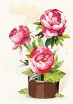 时尚花卉