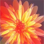 时尚花纹