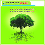 安全文化是基础