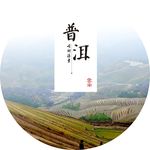 普洱茶包装