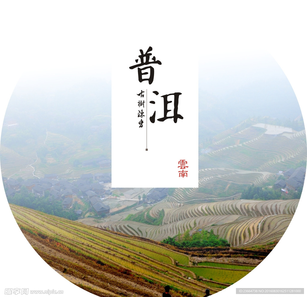 普洱茶包装