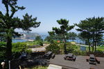 济州岛