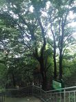 无锡阳山