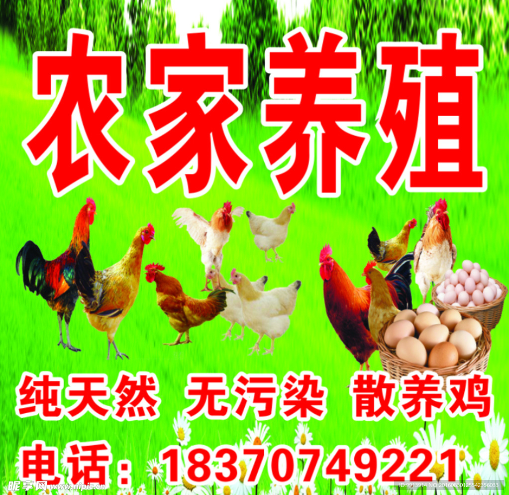 农家养殖