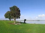 奥克兰海滨自然风景