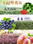 乡村体验游