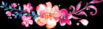 水墨花朵