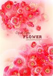 时尚花纹