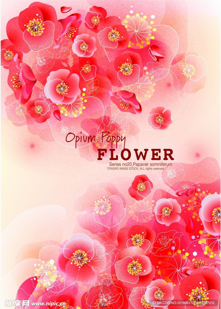 时尚花纹