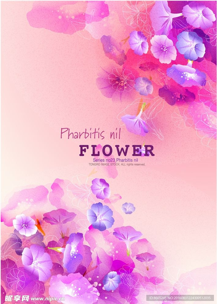时尚花纹