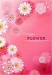时尚花纹