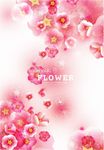 时尚花纹