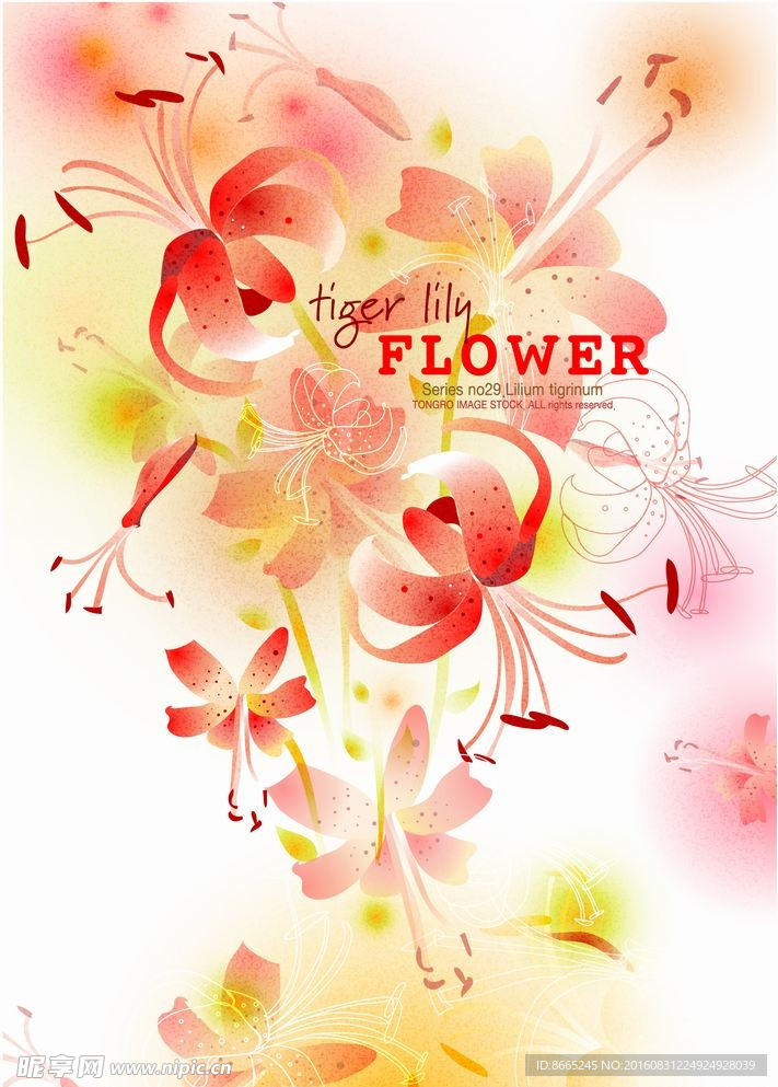 时尚花纹