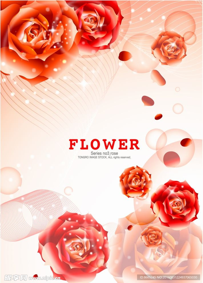 时尚花纹