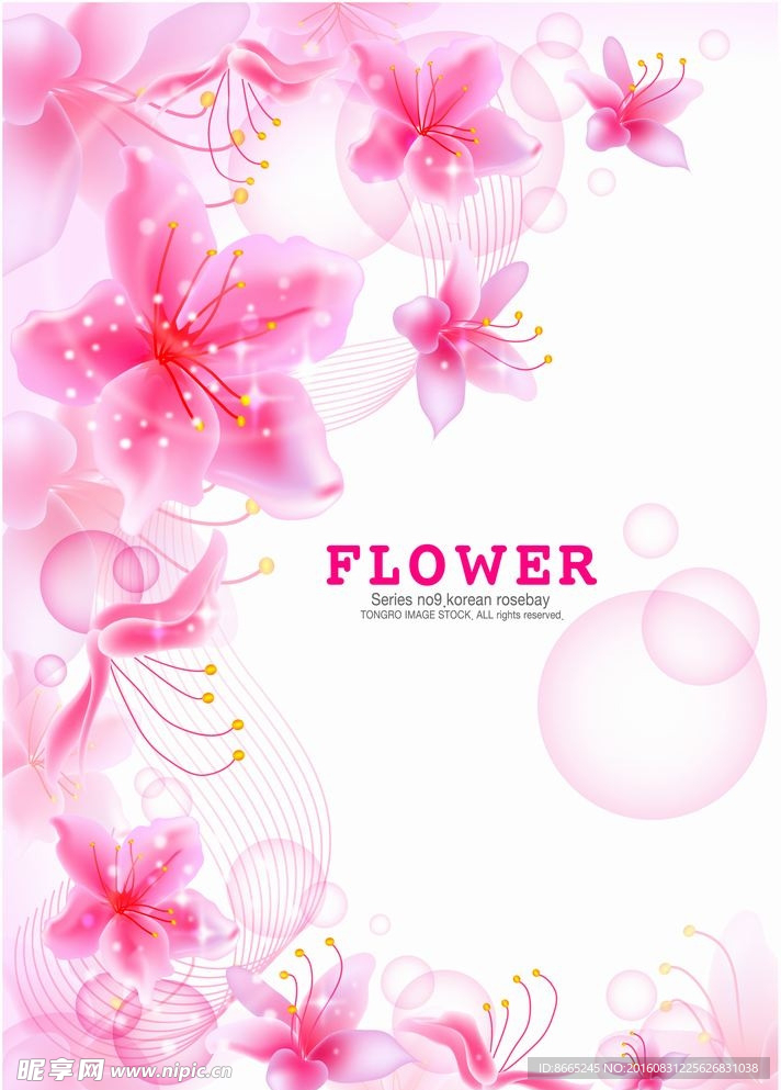 时尚花纹