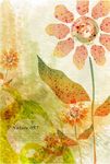 时尚花纹