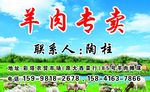 羊肉专卖