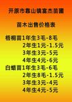 开原市靠山镇富杰苗圃
